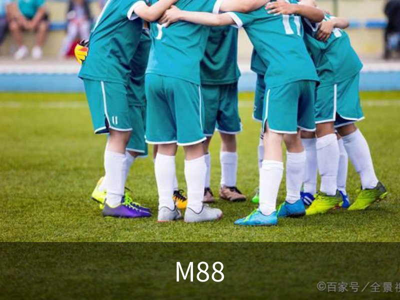 了解M88